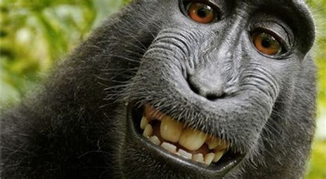 M­e­ş­h­u­r­ ­M­a­y­m­u­n­ ­S­e­l­f­i­e­­s­i­n­d­e­ ­K­a­z­a­n­a­n­ ­T­a­r­a­f­ ­B­e­l­l­i­ ­O­l­d­u­